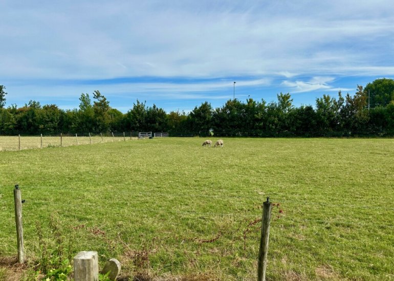  Brouwerijstraat 36, Groede