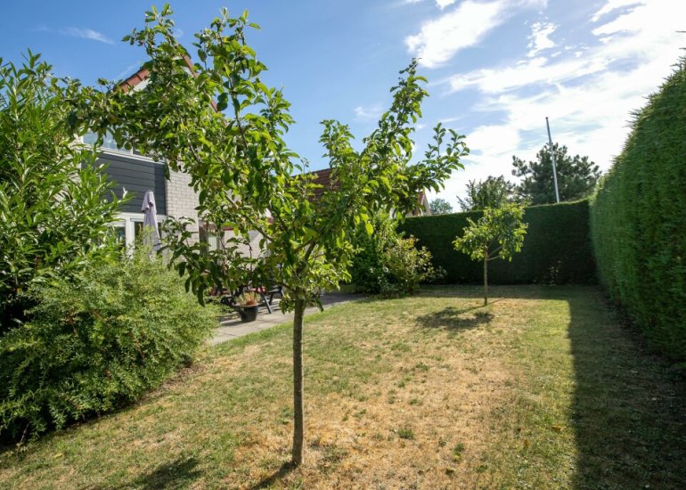  Schoneveld 331, Breskens