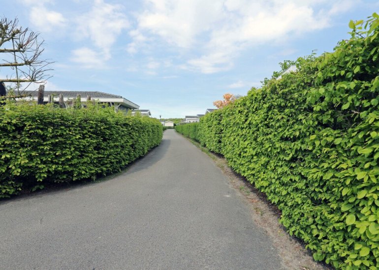  Schoneveld 1H180, Breskens