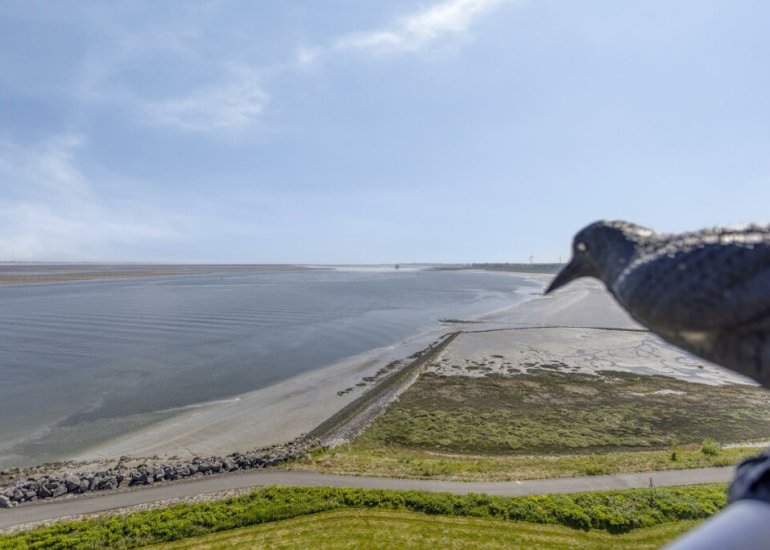  Port Scaldis 21071, Breskens