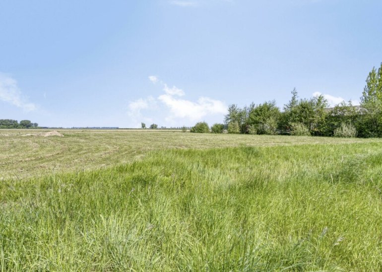  Willemsweg 75, Schoondijke