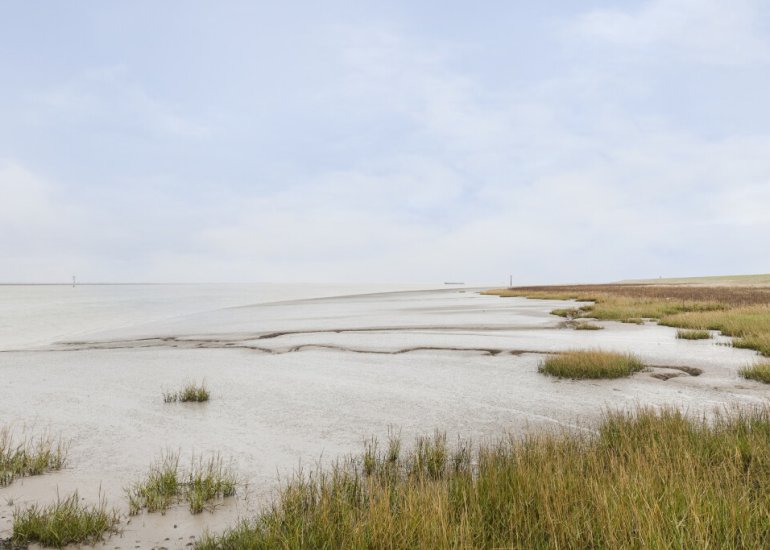  Kersenlaan 21, Hoofdplaat