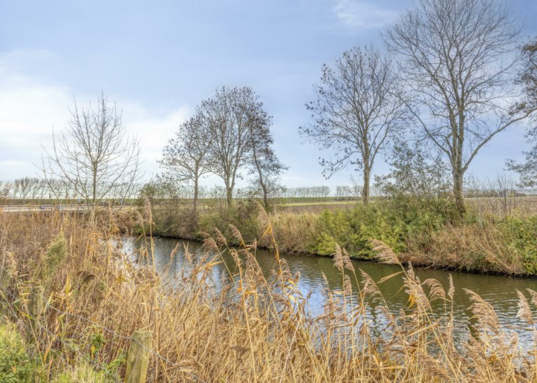  Nummer Eén 51, Hoofdplaat