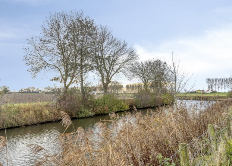  Nummer Eén 51, Hoofdplaat