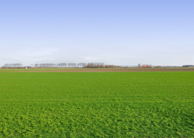  Sint Bavodijk 12, Nieuwvliet