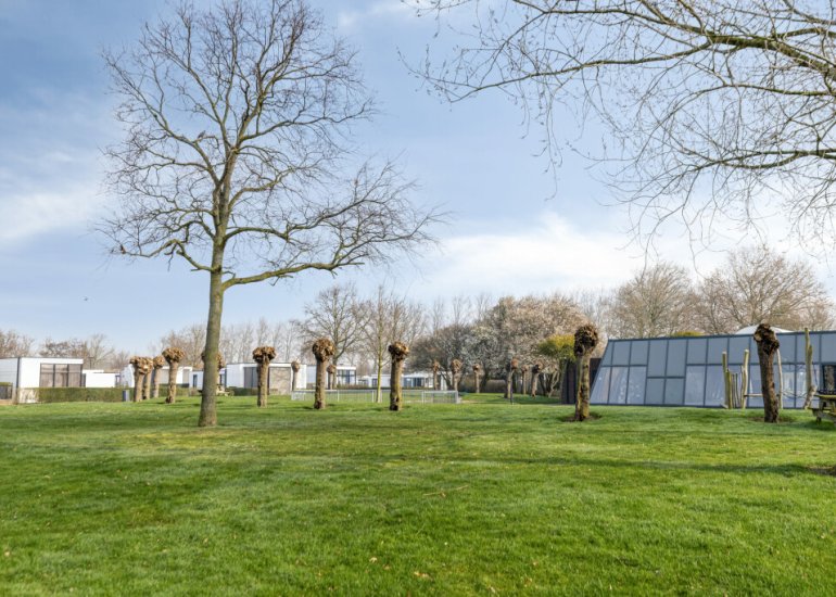  Schoneveld 1J 273, Breskens